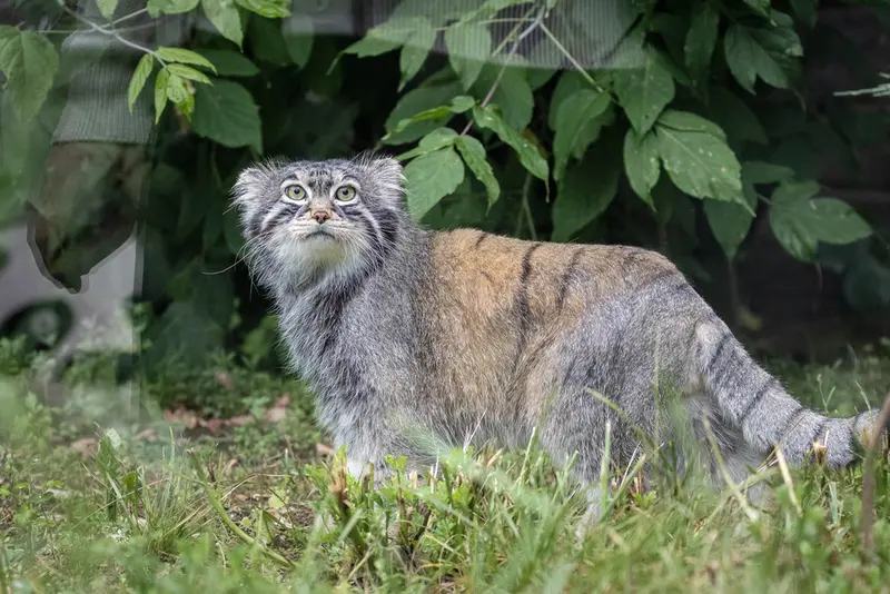 A photograph of Timofey in Moscow zoo