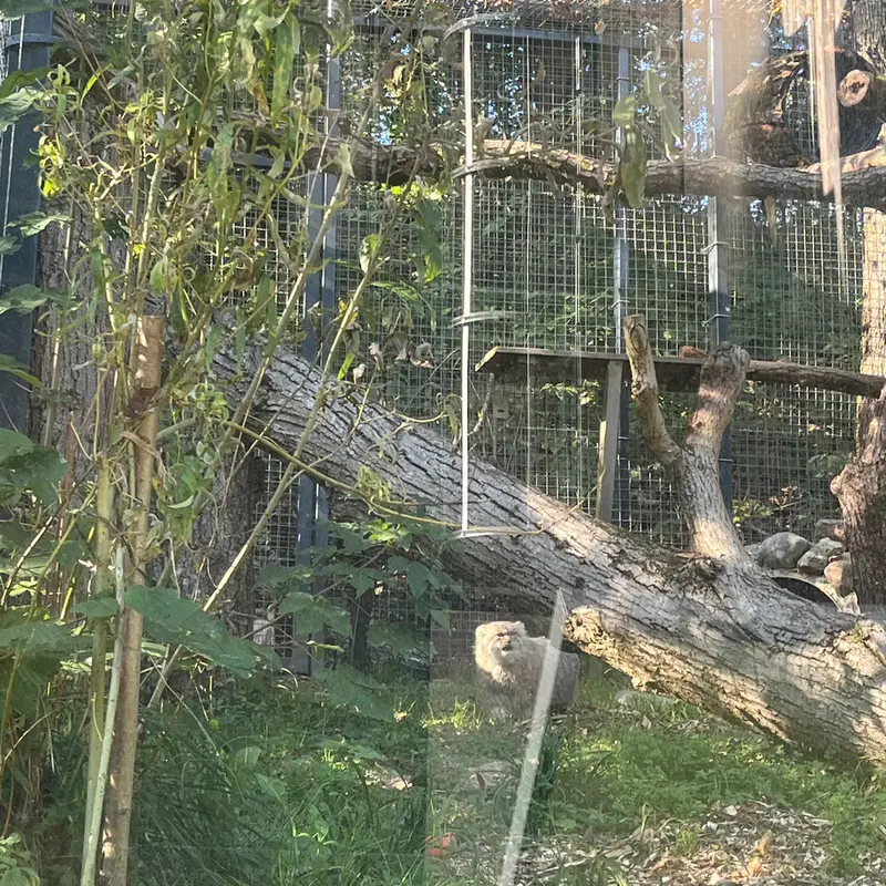 A photograph of Melissa in Lithuanian Zoo