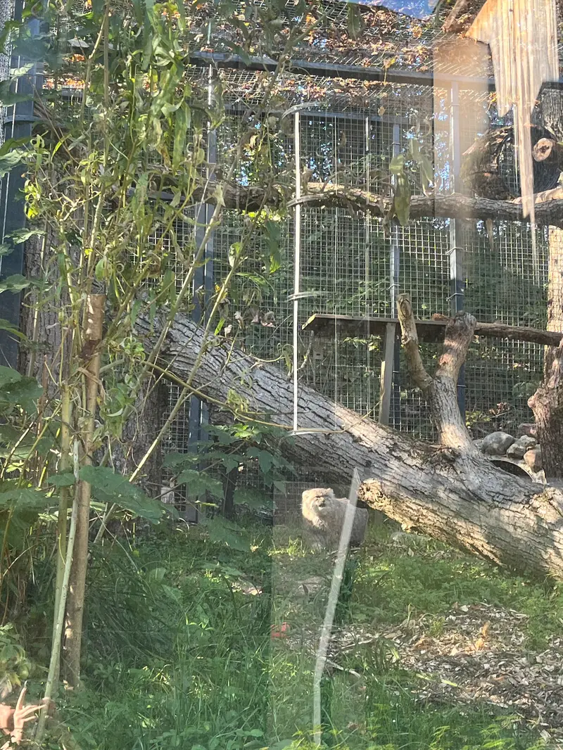 A photograph of Melissa in Lithuanian Zoo