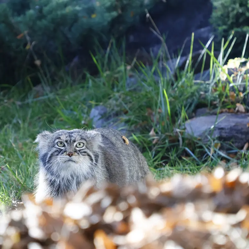 A photograph of Timofey in Moscow zoo