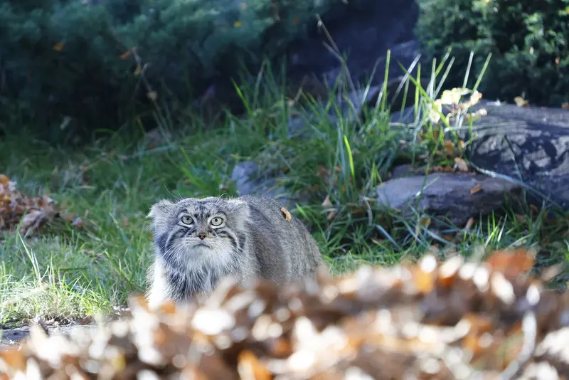 A photograph of Timofey in Moscow zoo
