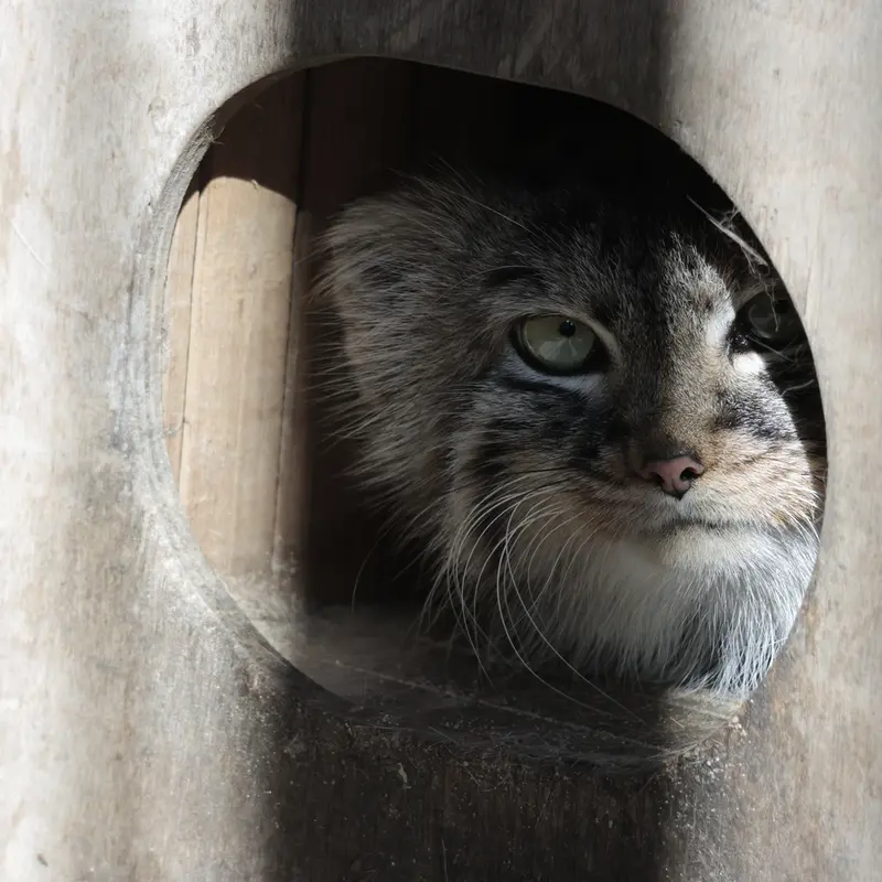 A photograph of Gabi in Novosibirsk Zoo