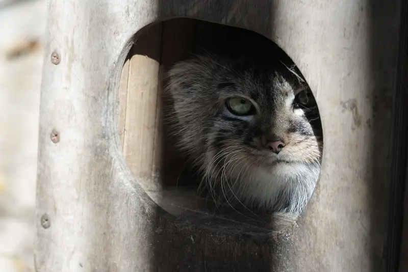 A photograph of Gabi in Novosibirsk Zoo
