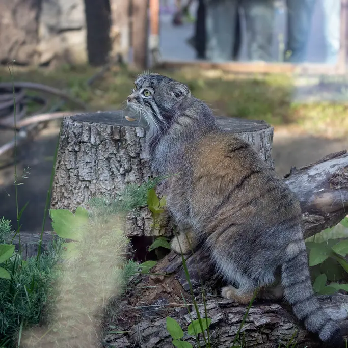 A photograph of Timofey in Moscow zoo