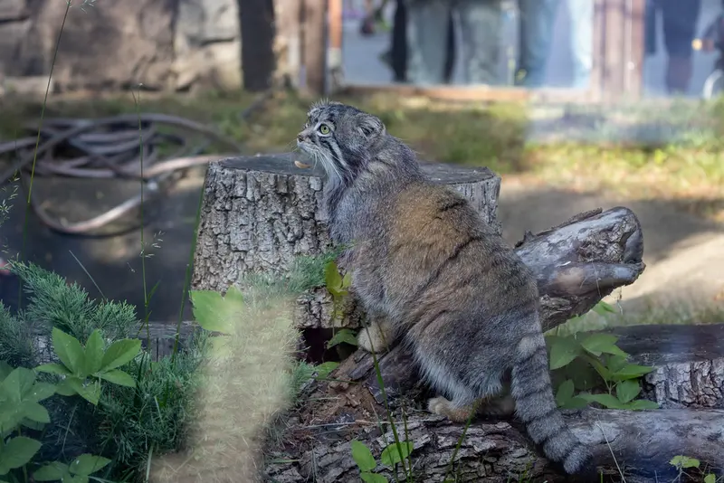 A photograph of Timofey in Moscow zoo