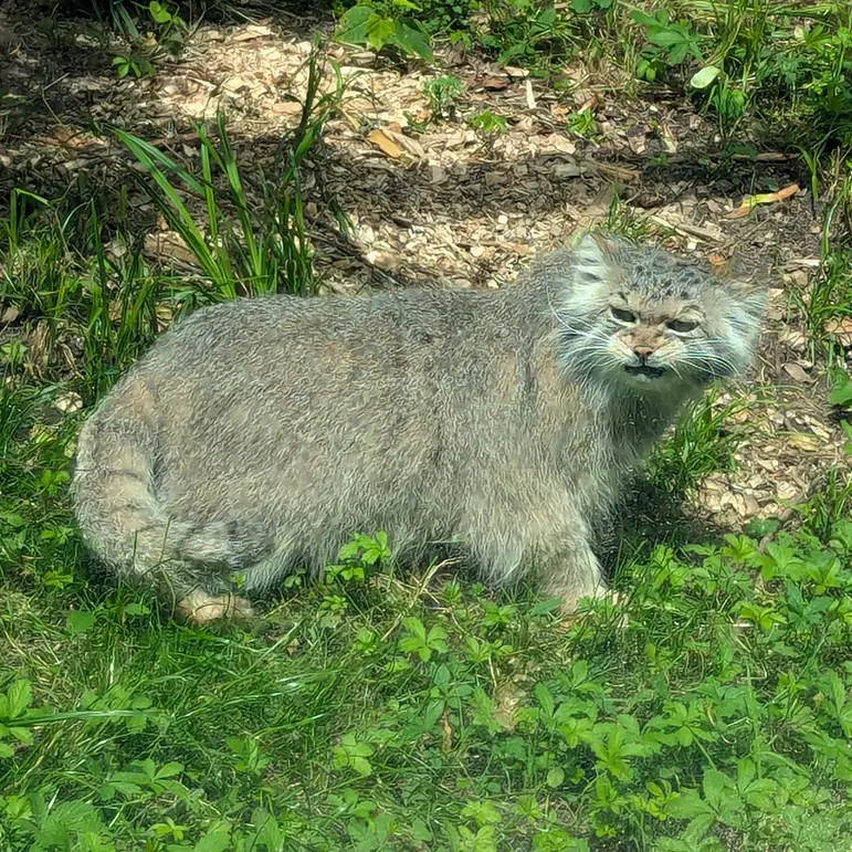 A photograph of Melissa in Lithuanian Zoo