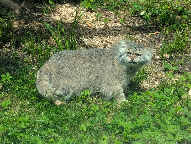 A photograph of Melissa in Lithuanian Zoo