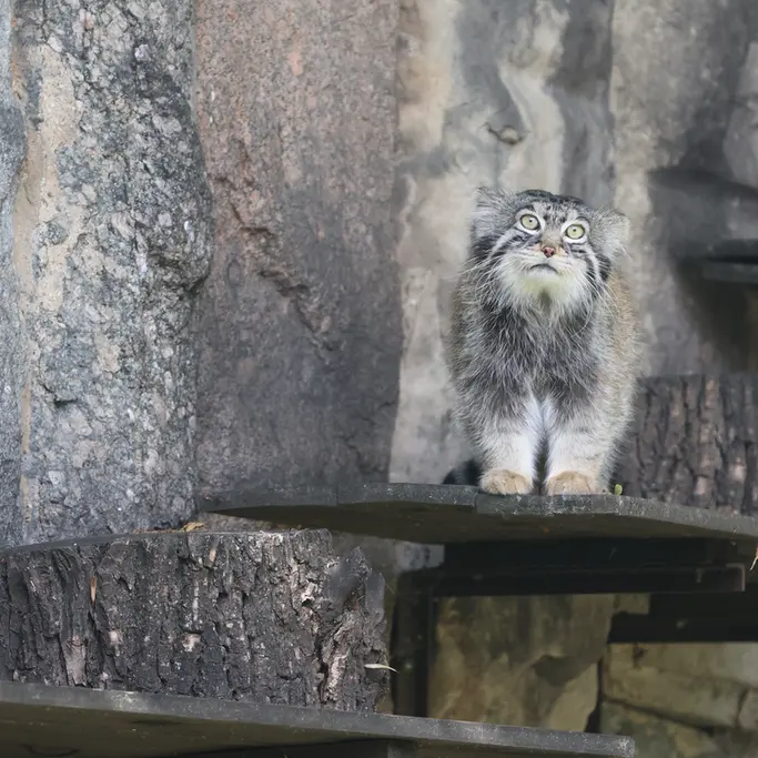 A photograph of Timofey in Moscow zoo