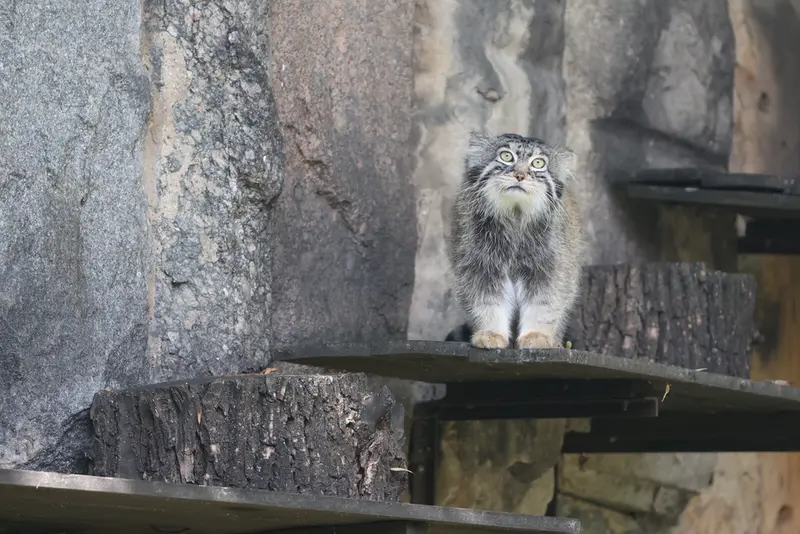 A photograph of Timofey in Moscow zoo