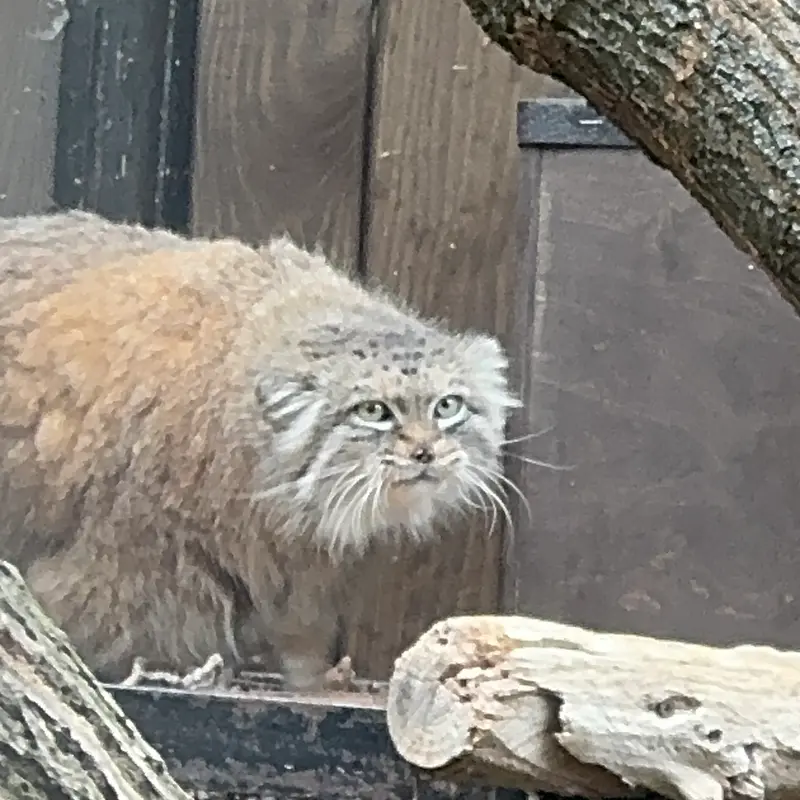 A photograph of Jessie in Warsaw Zoo