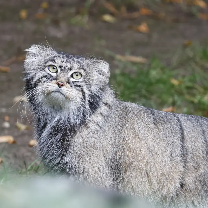 A photograph of Timofey in Moscow zoo