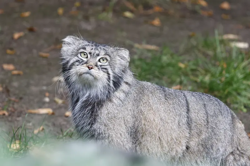 A photograph of Timofey in Moscow zoo