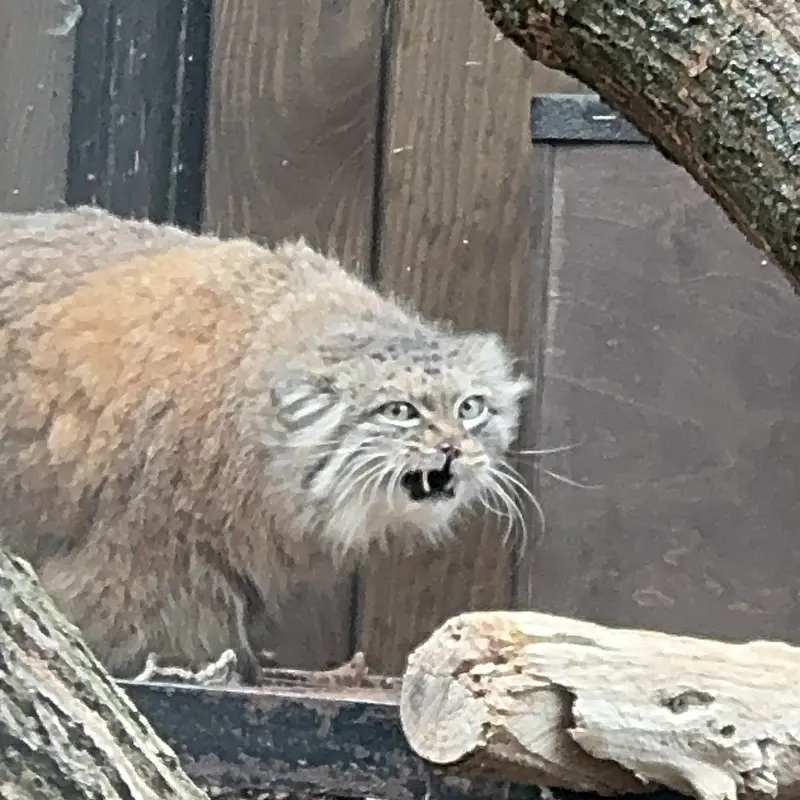 A photograph of Jessie in Warsaw Zoo