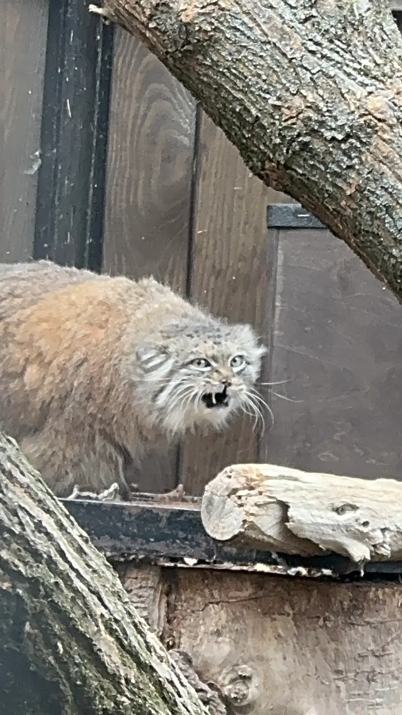 A photograph of Jessie in Warsaw Zoo