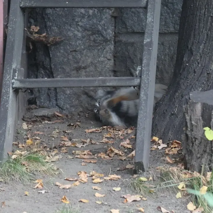 A photograph of Timofey in Moscow zoo