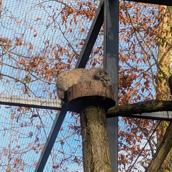 A photograph of Manuel in Gdansk Zoo