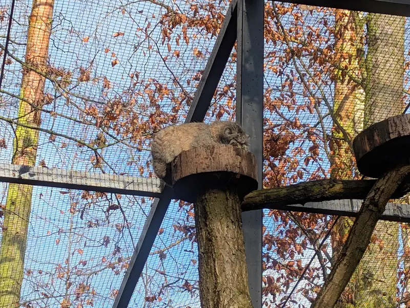 A photograph of Manuel in Gdansk Zoo