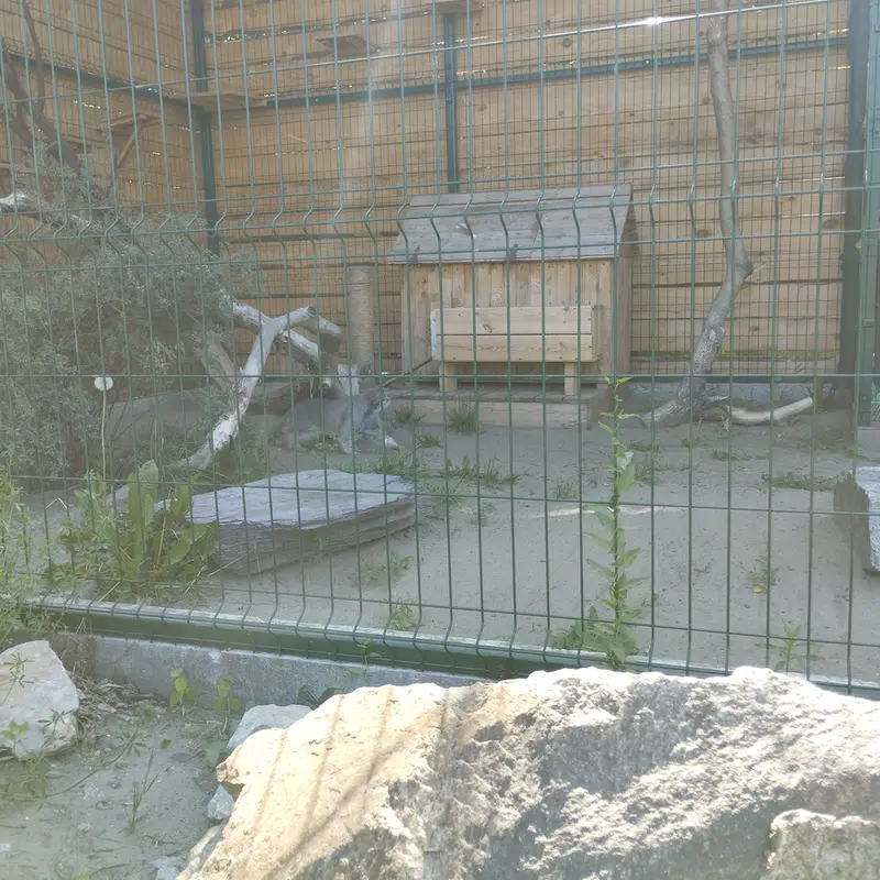 A photograph of Pepe in Barnaul zoo “Lesnaya skazka”