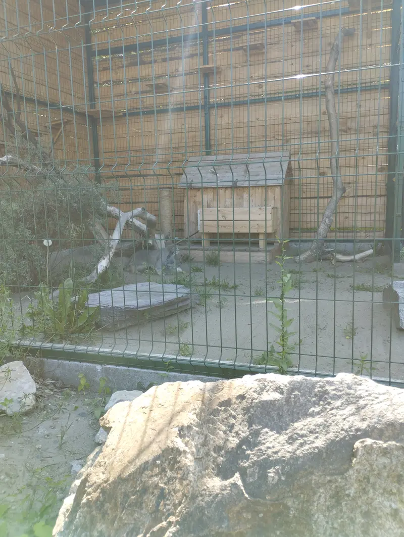 A photograph of Pepe in Barnaul zoo “Lesnaya skazka”