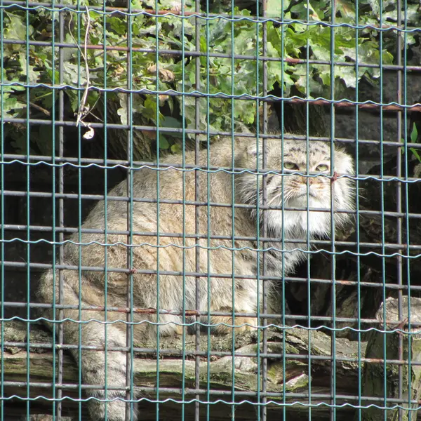 A photograph of Jonathan in Magdeburg Zoo