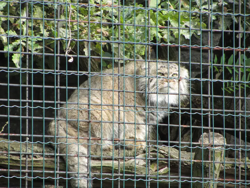 A photograph of Jonathan in Magdeburg Zoo