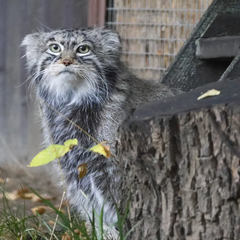 A photograph of Timofey in Moscow zoo
