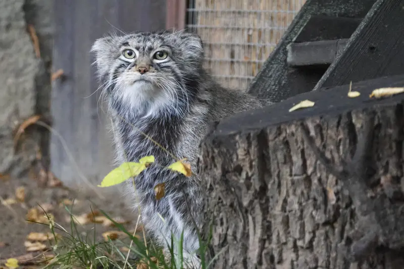 A photograph of Timofey in Moscow zoo