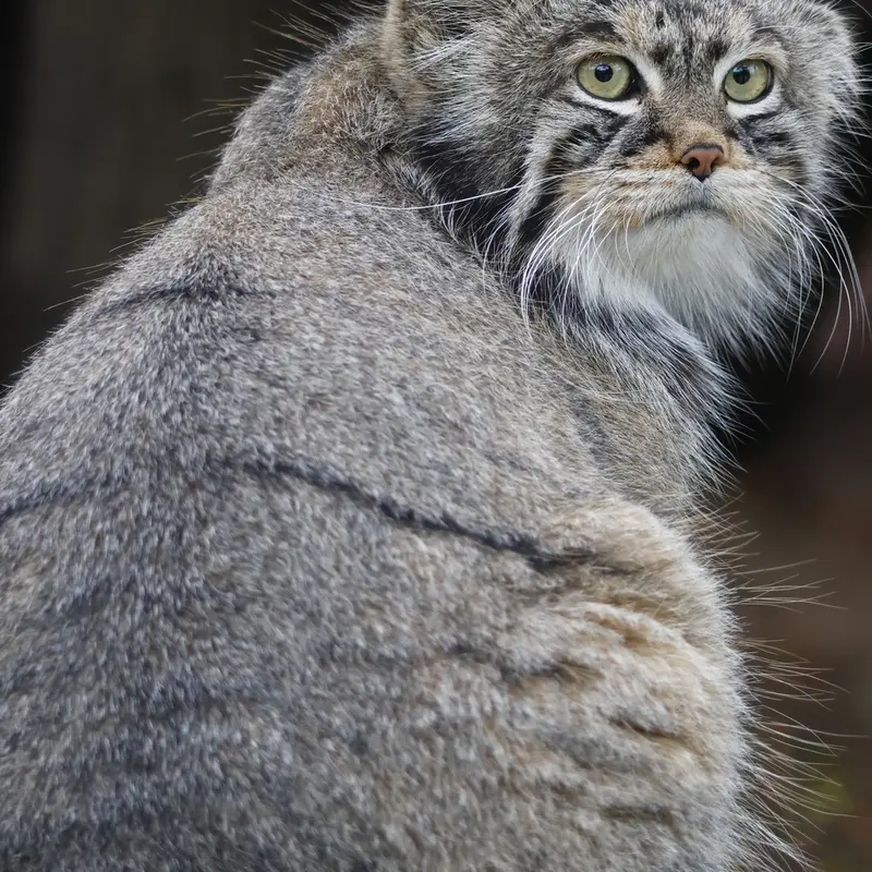 A photograph of Timofey in Moscow zoo