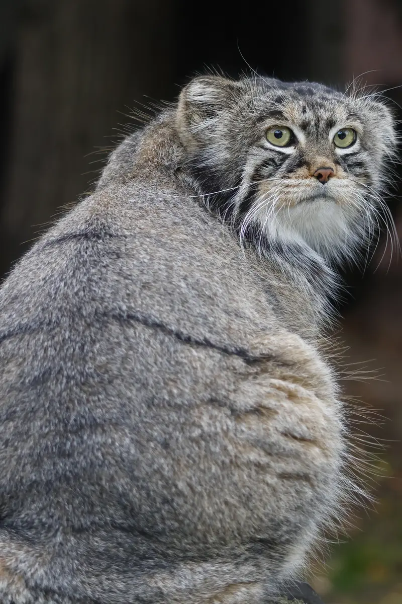 A photograph of Timofey in Moscow zoo