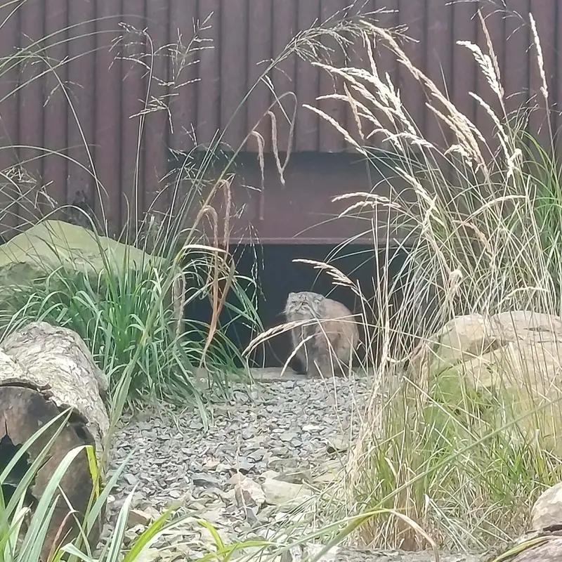 A photograph of Moira in Ostrava Zoo