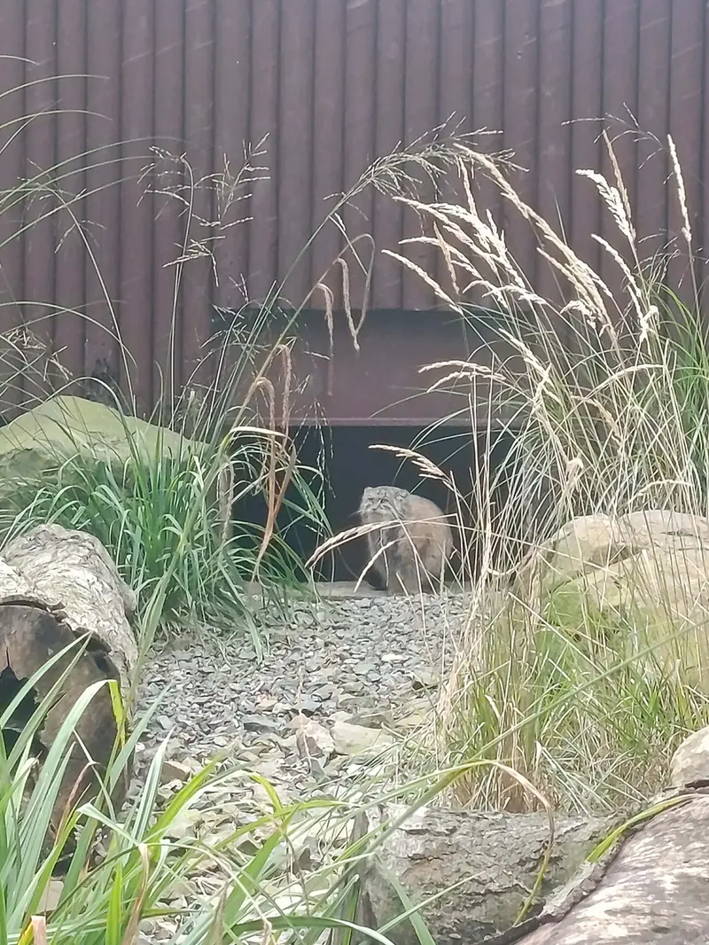 A photograph of Moira in Ostrava Zoo