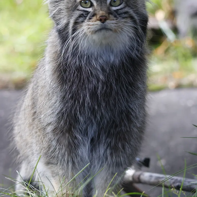 A photograph of Timofey in Moscow zoo