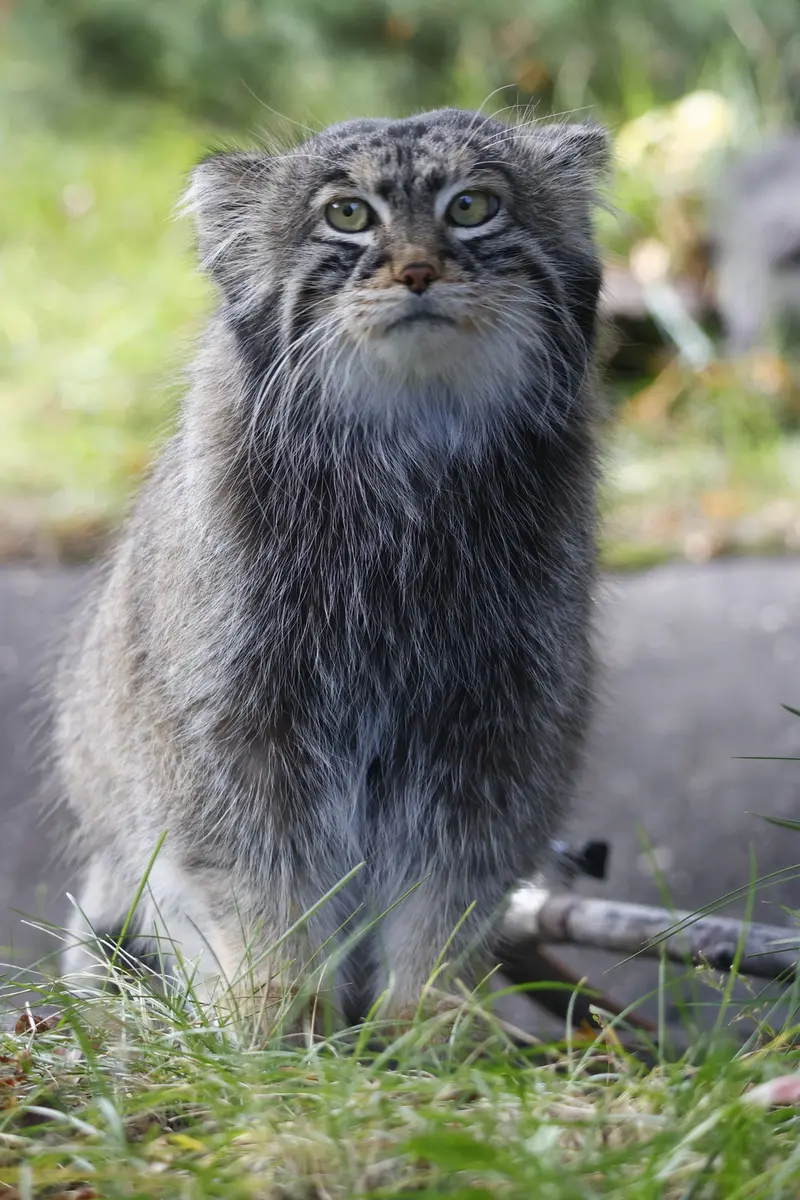 A photograph of Timofey in Moscow zoo
