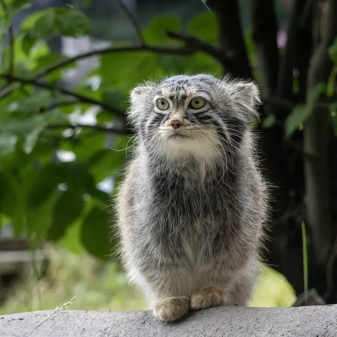A photograph of Timofey in Moscow zoo