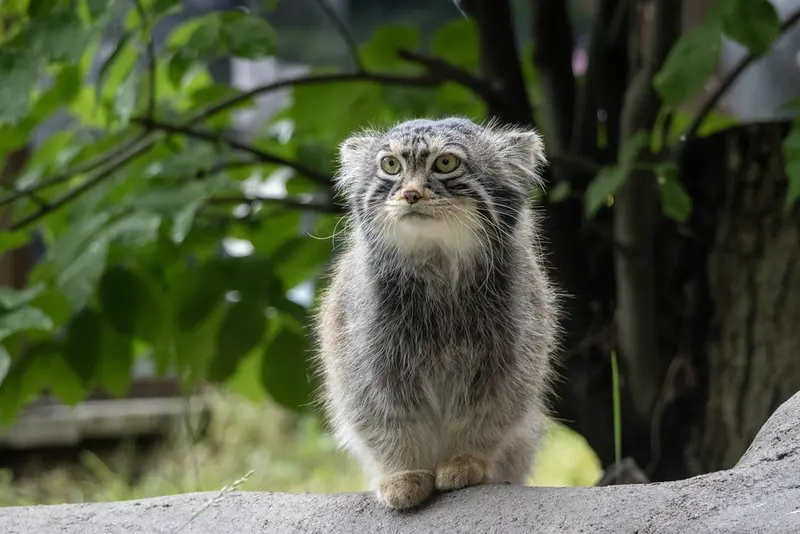 A photograph of Timofey in Moscow zoo