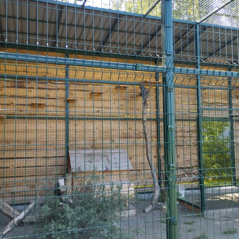 A photograph of Pepe in Barnaul zoo “Lesnaya skazka”