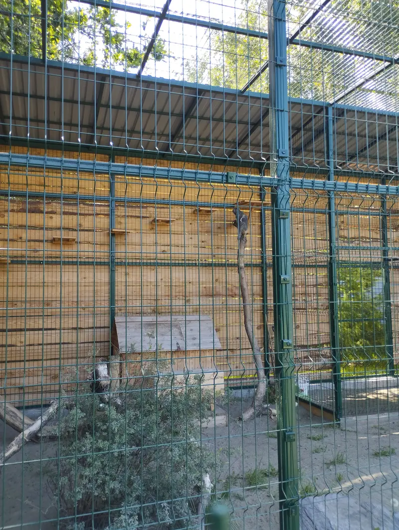 A photograph of Pepe in Barnaul zoo “Lesnaya skazka”