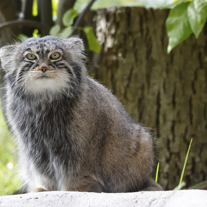A photograph of Timofey in Moscow zoo