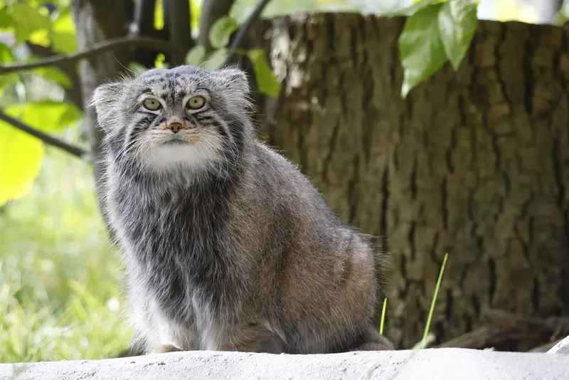 A photograph of Timofey in Moscow zoo