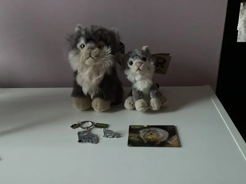manul collection 🐾
