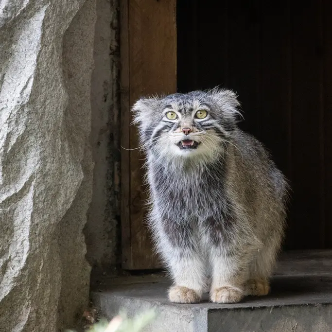 A photograph of Timofey in Moscow zoo