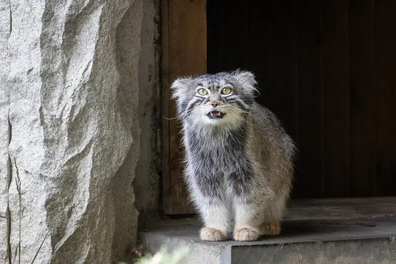 A photograph of Timofey in Moscow zoo