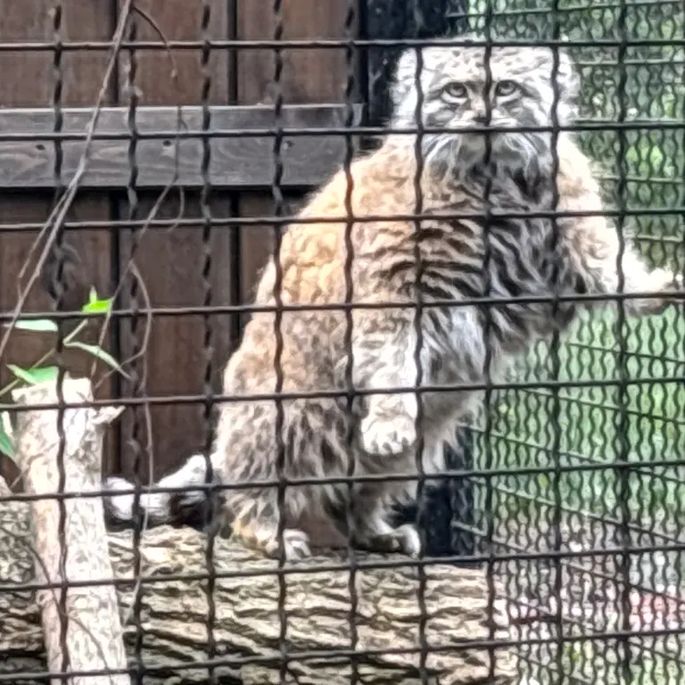 A photograph of Jessie in Warsaw Zoo