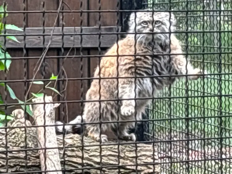 A photograph of Jessie in Warsaw Zoo
