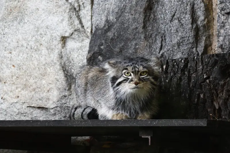 A photograph of Timofey in Moscow zoo