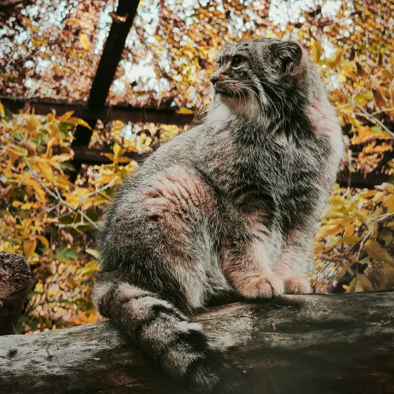 A photograph of Eve in Novosibirsk Zoo