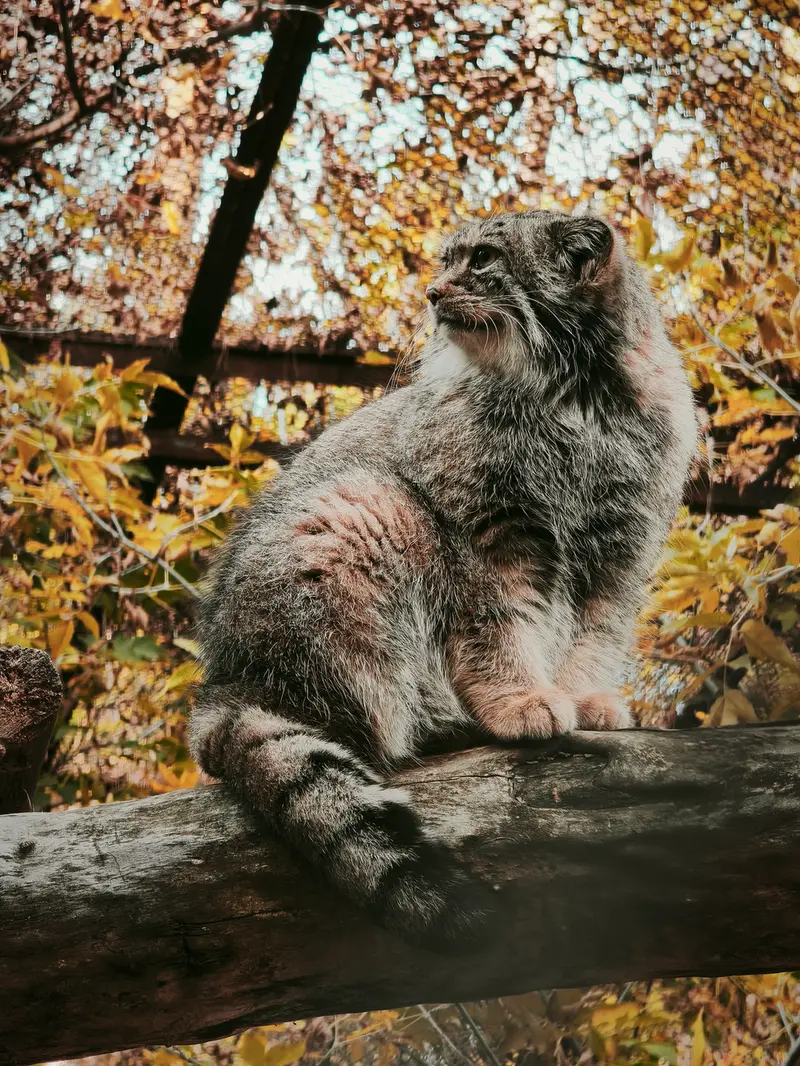 A photograph of Eve in Novosibirsk Zoo
