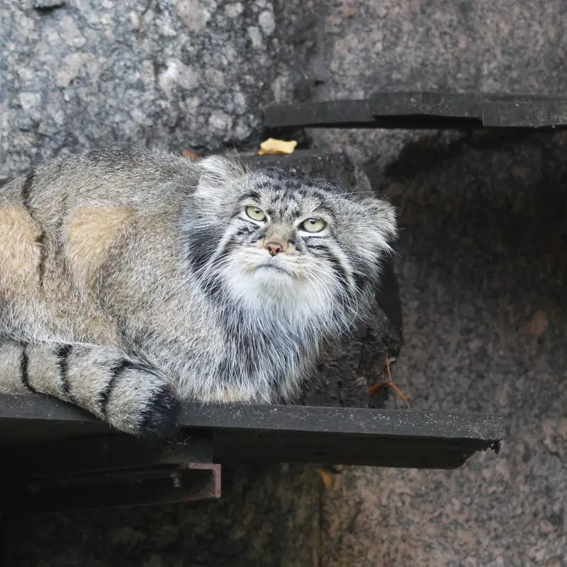 A photograph of Timofey in Moscow zoo