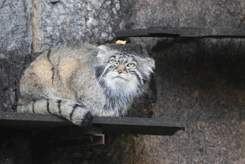 A photograph of Timofey in Moscow zoo