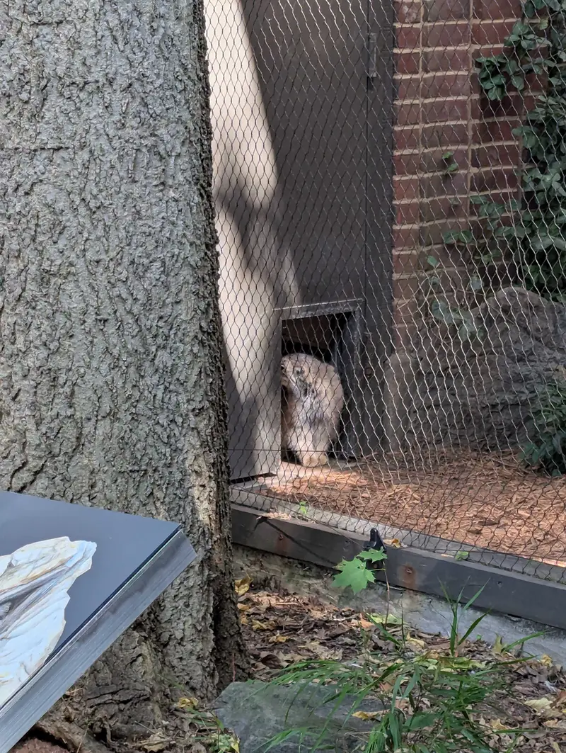 A photograph of Sarnai in Prospect Park Zoo